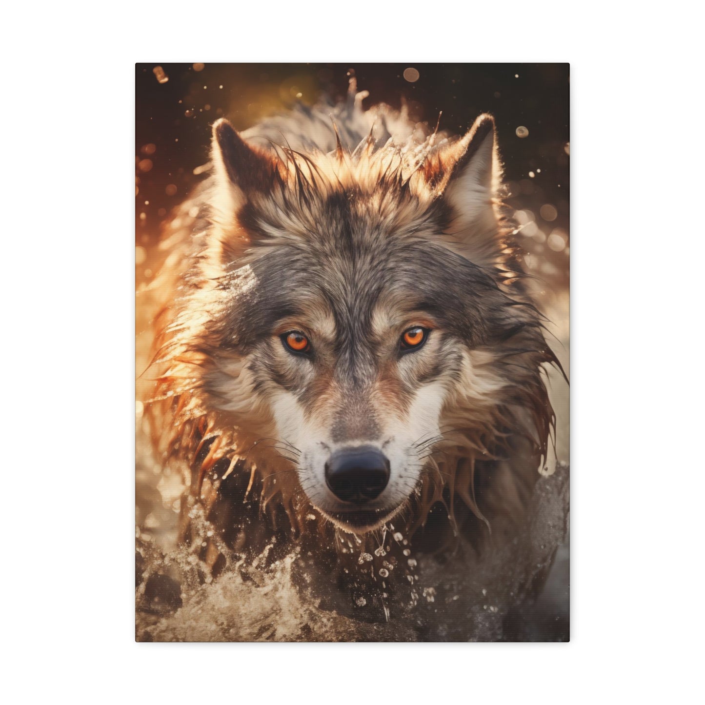 A wolf runs through the river at sunset Canvas Poster
